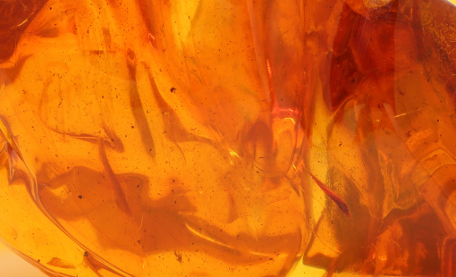 texture_04