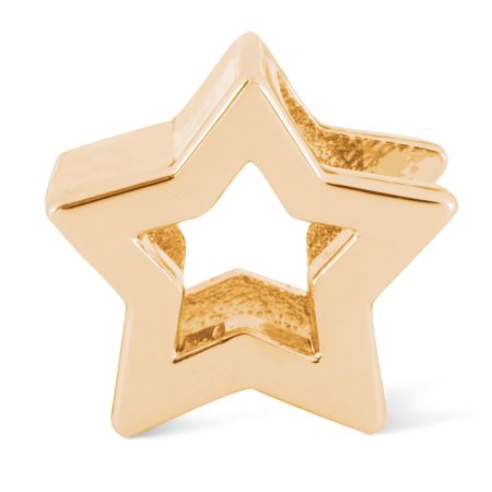 подвеска EKONIKA (EN-STAR-small-gold-UNI) #1