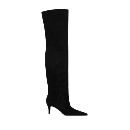 женские демисезонные ботфорты EKONIKA (EN01440CN-23-black-25W) #1