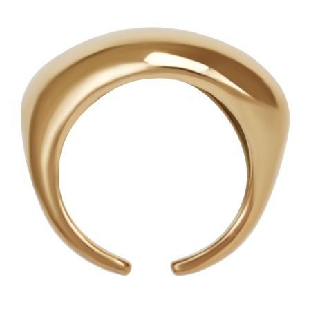 женское кольцо EKONIKA (EN47502-gold-25S) #1