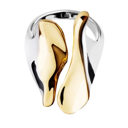 женское кольцо EKONIKA (EN47401-silver-gold-25W) #1