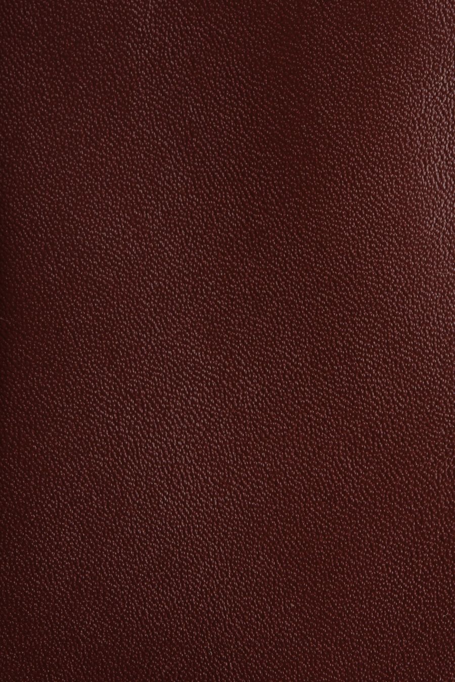 женские перчатки EKONIKA EN33716-browny-24W, фото 3