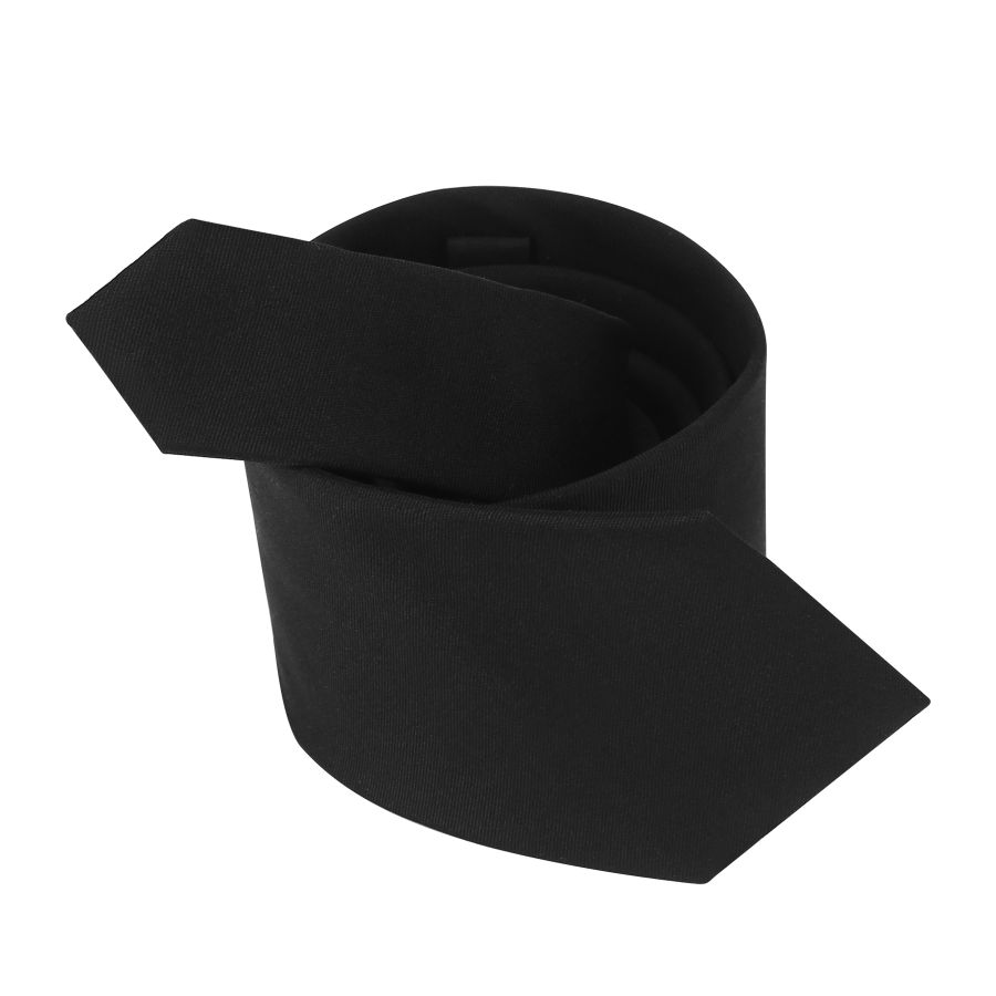 женский галстук EKONIKA PREMIUM PM44144-black-24L, фото 4