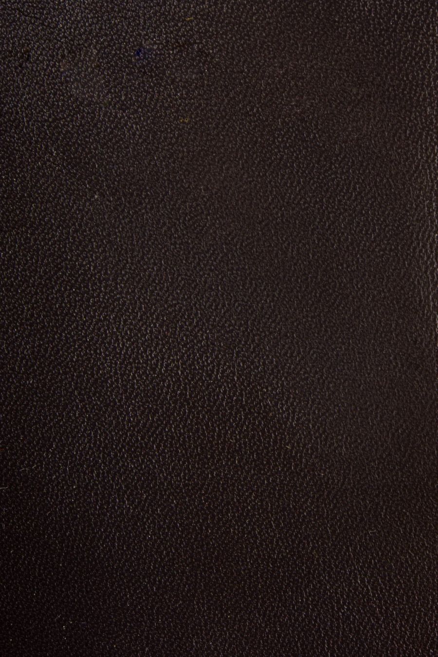 женские перчатки EKONIKA EN33716-dk.brown-24W, фото 3