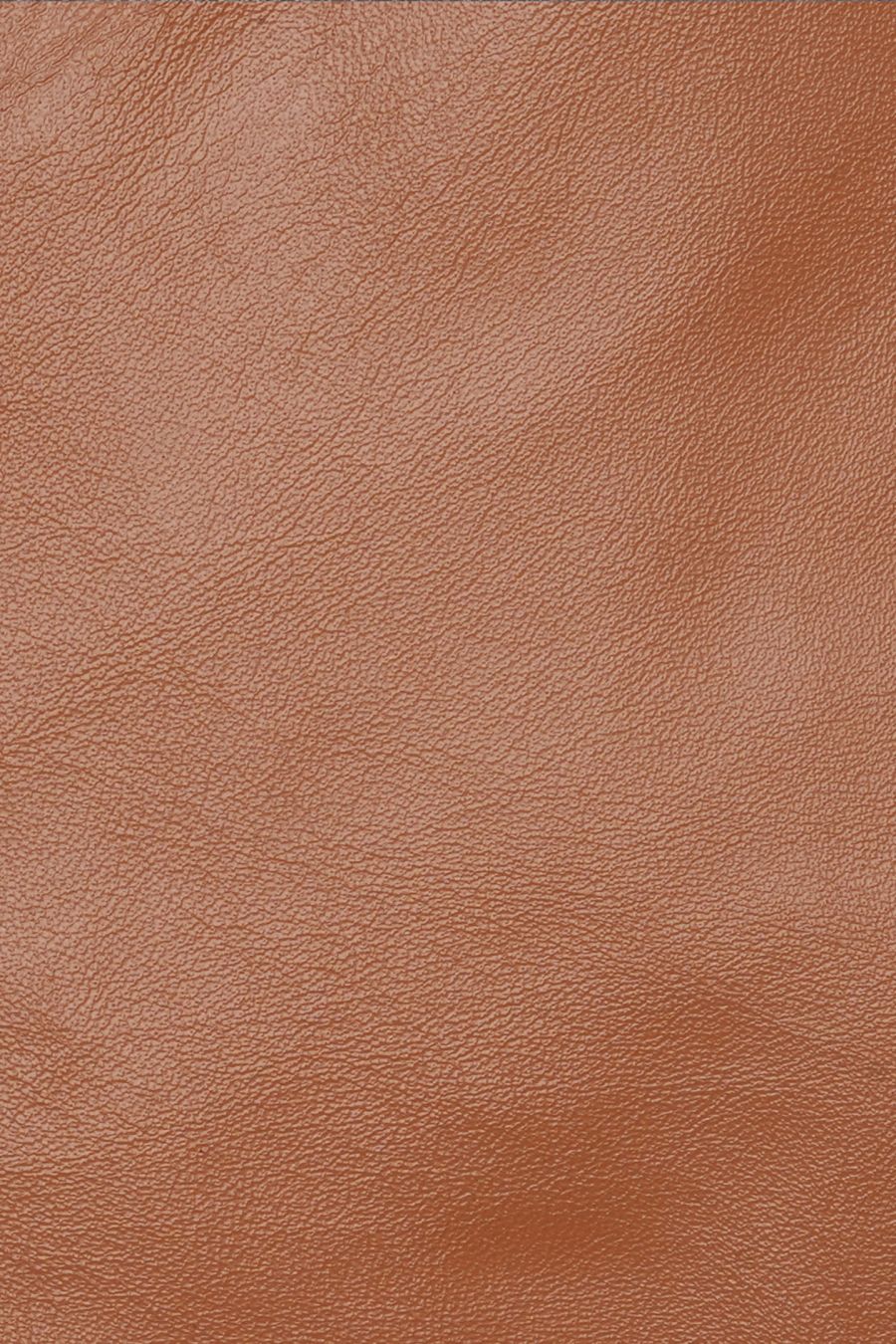 женские перчатки EKONIKA EN33083-almond-24W, фото 3
