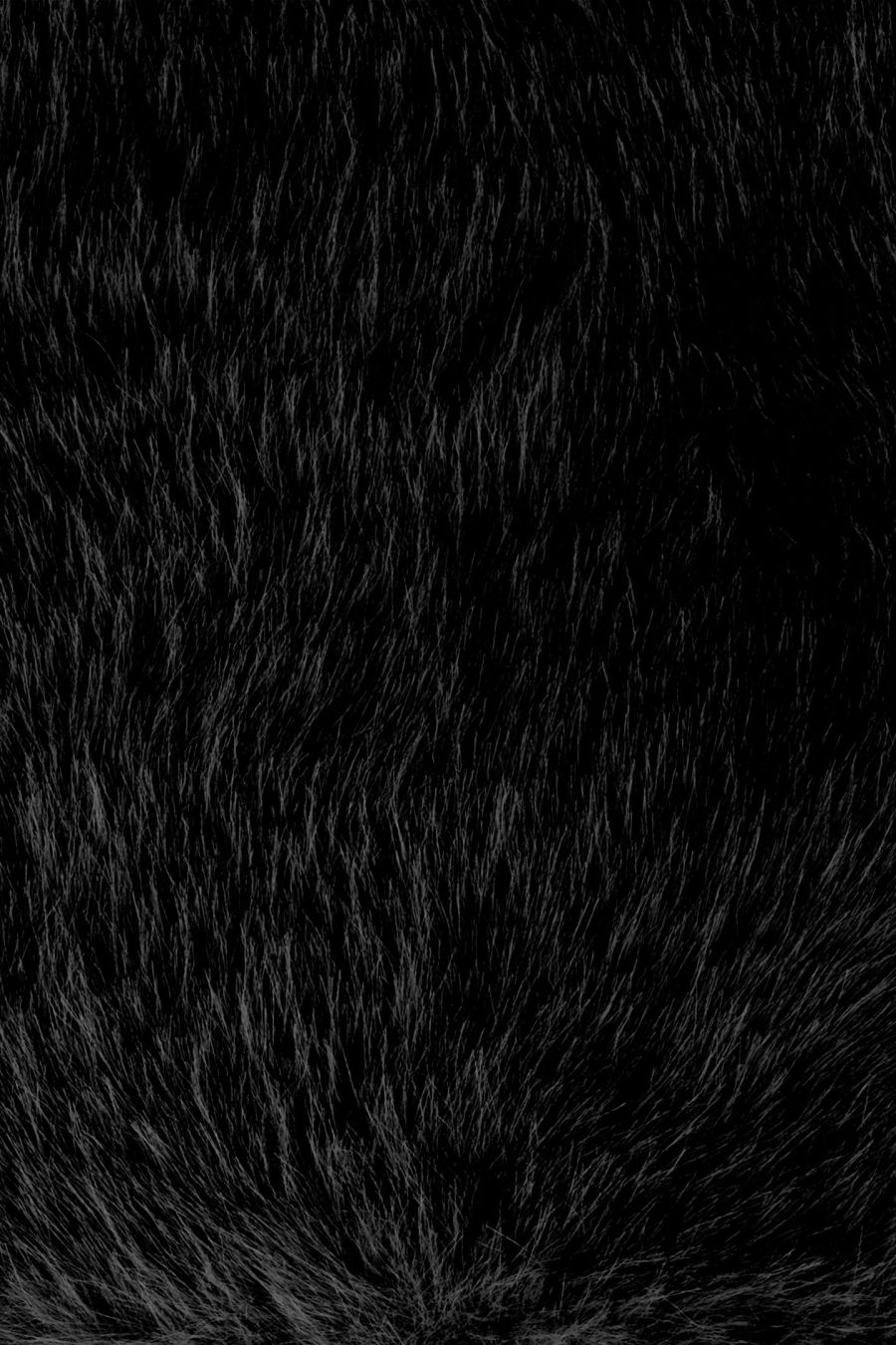 женские варежки EKONIKA EN33450-black-25W, фото 4