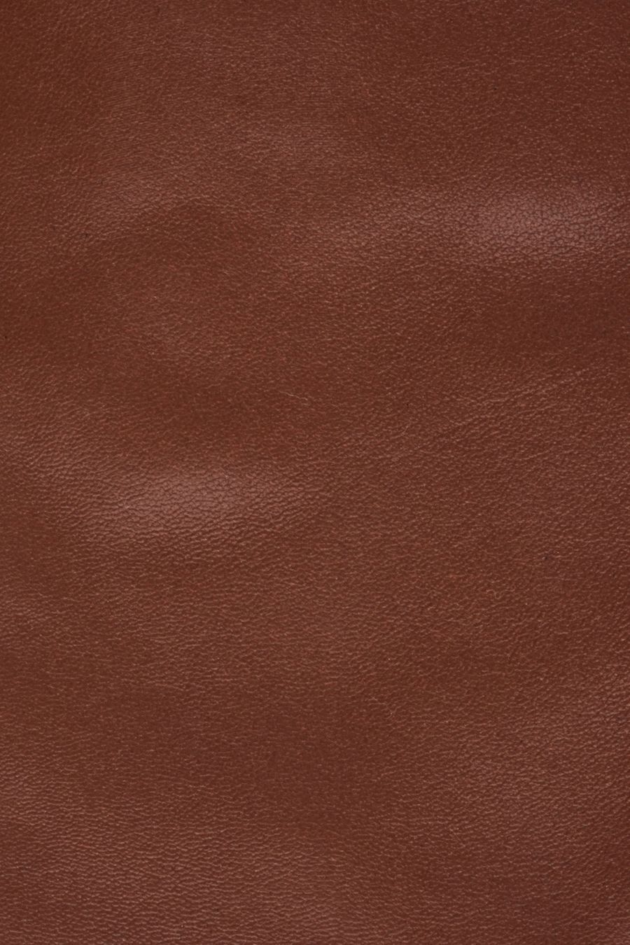 женские перчатки EKONIKA EN33998-walnut-25W, фото 3